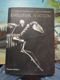 Evolution in Action：Natural History through Spectacular Skeletons