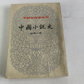 中国小说史上册