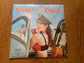Wings of Angels 天使之翼 美国2020年全新挂历 2020 MALAK高跟丝袜女郎 搭配美国空军鲨鱼战斗机 美飒了 甚是漂亮 美国原版 MADE IN USA 美品 稀少品 国内罕见 全新美品 薄膜未撕 未使用全新品