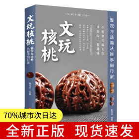文玩核桃鉴定与选购从新手到行家（修订版）