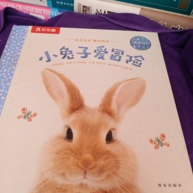 亲亲宝贝晚安绘本:小兔子爱冒险2-4岁乐乐趣儿童成长故事书