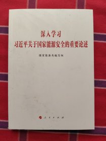 深入学习习近平关于国家能源安全的重要论述