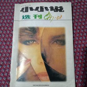 小小说选刊，1997