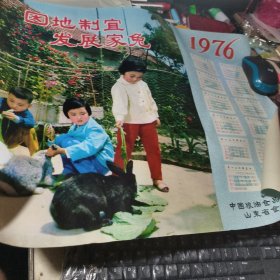 1976年 年历画《因地制宜 发展家兔》尺寸4开 中国粮油食品进出口公司