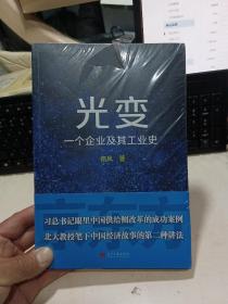 光变：一个企业及其工业史