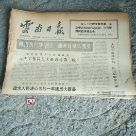 云南日报1977年1月31日