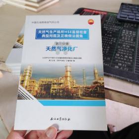 天然气生产场所hse监督检查典型问题及正确做图集 第3分册