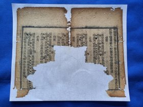 古籍散页【红楼梦】一页 ，编号 2 ，破损缺纸比较严重，已经手工托纸。这是一张古籍散页，不是一本书，作品尺寸：24*20厘米。