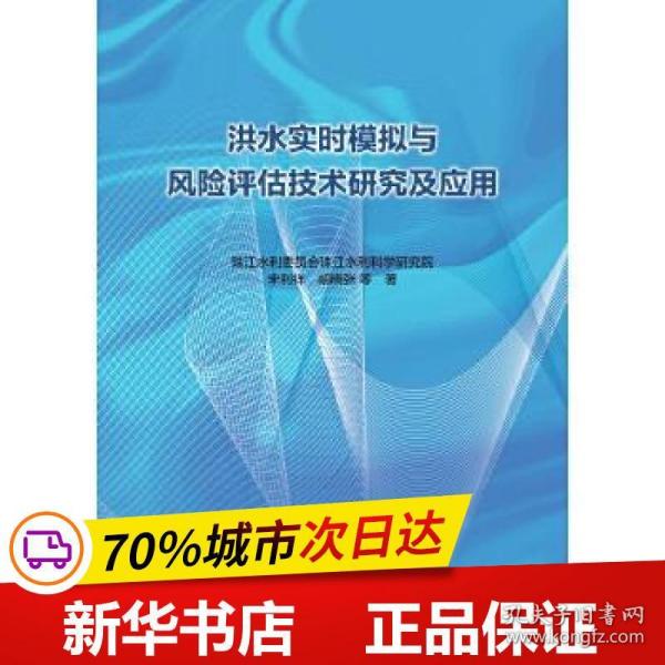 洪水实时模拟与风险评估技术研究及应用