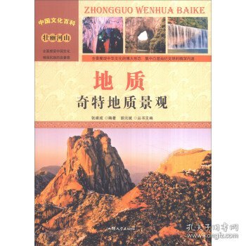 中国文化百科 壮丽河山 地质：奇特地质景观（彩图版）