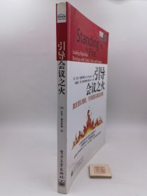 引导会议之火：激发团队潜能，引导团队高效决策