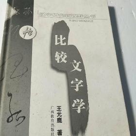 比较文字学／汉字研究新视野丛书