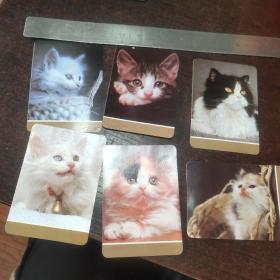 猫咪年历卡1987年一套六张全