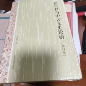 新资料与中古文史论稿（修订本）