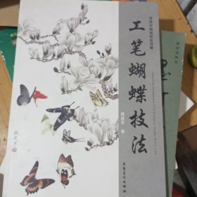 传统中国画技法详解：工笔蝴蝶技法