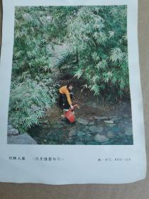 竹林人家（四开）