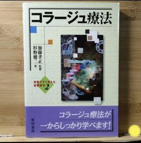 日文 コラージュ疗法 加藤 孝正 / 杉野 健二