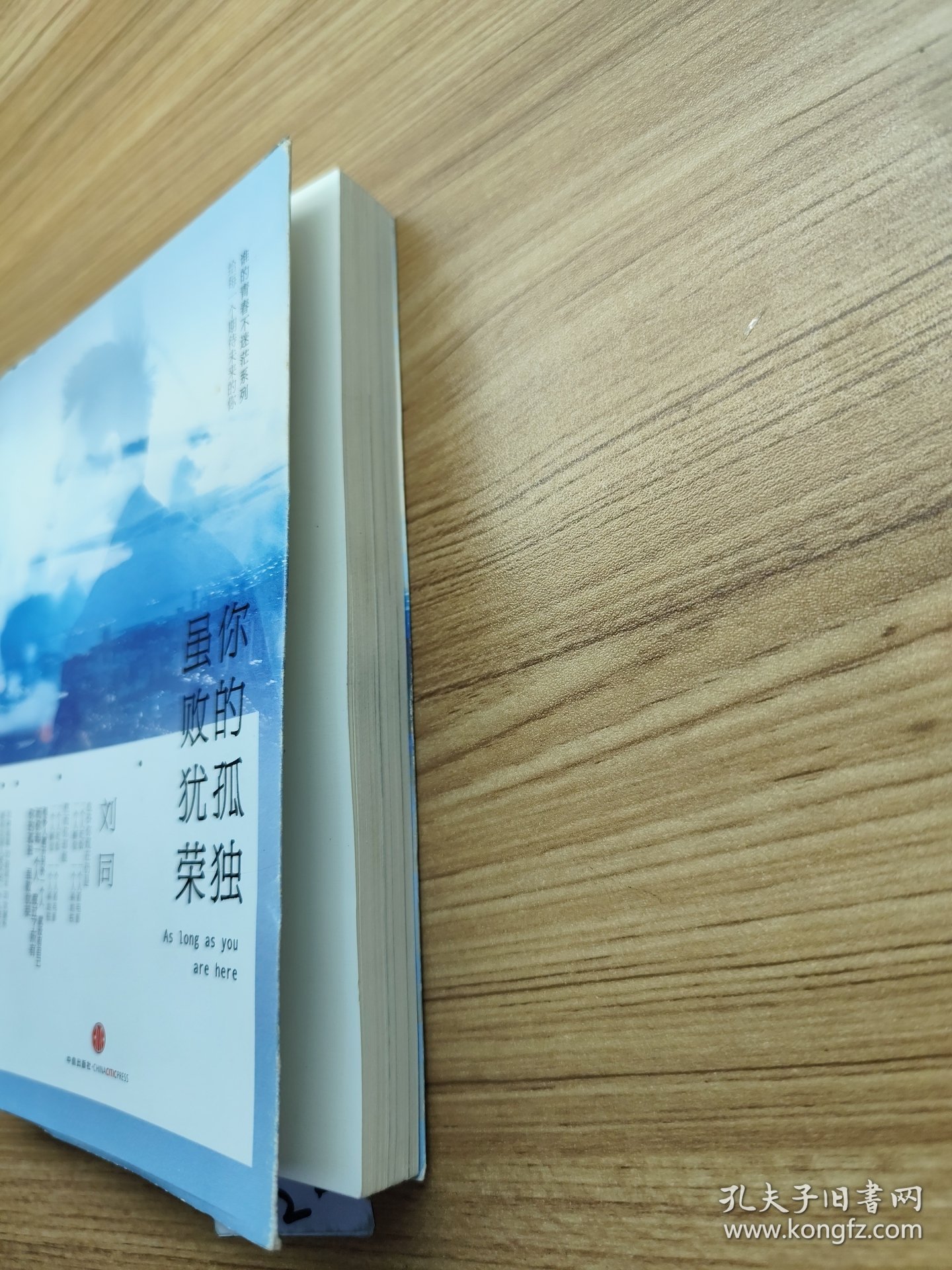 谁的青春不迷茫系列2 你的孤独，虽败犹荣