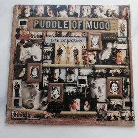 PUDDLE OF MUDD CD （724）