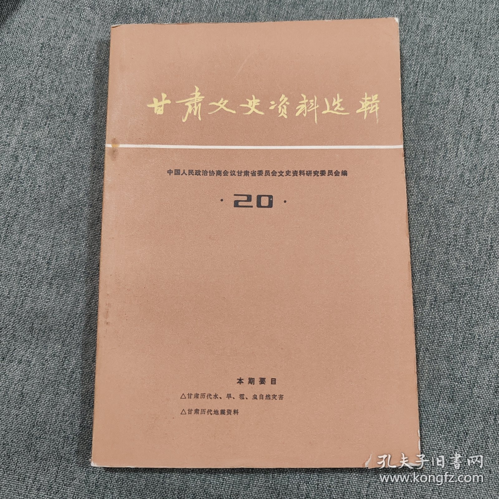 甘肃文史资料选辑第二十辑