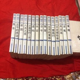 （15本合售）中国小说50强 1978-2000年：长征、虚构、沙漏街的卜语、八月之旅、迷园、正午的供词、找乐、日午、狼窝、五月的黄昏、一意孤行、不定嫁给谁、风过耳、活鬼、重瞳、