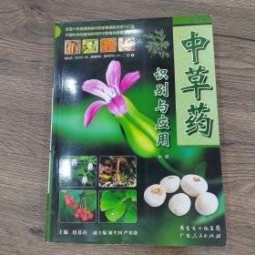 中草药识别与应用（中册）