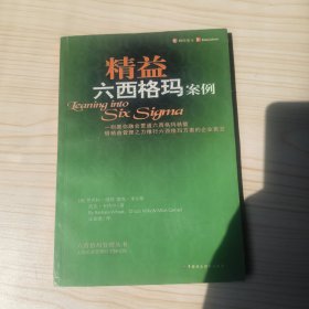 精益六西格玛案例