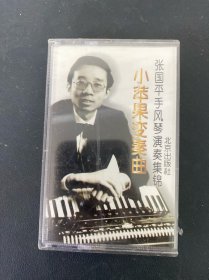 磁带：小苹果变奏曲 张国平手风琴演奏集锦 全新未拆封 以实拍图购买