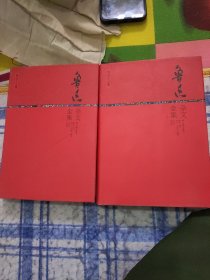 鲁迅杂文全集（上下）