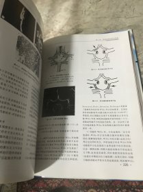 耳鼻咽喉影像诊断学