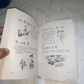 汉语字源字典（图解本）