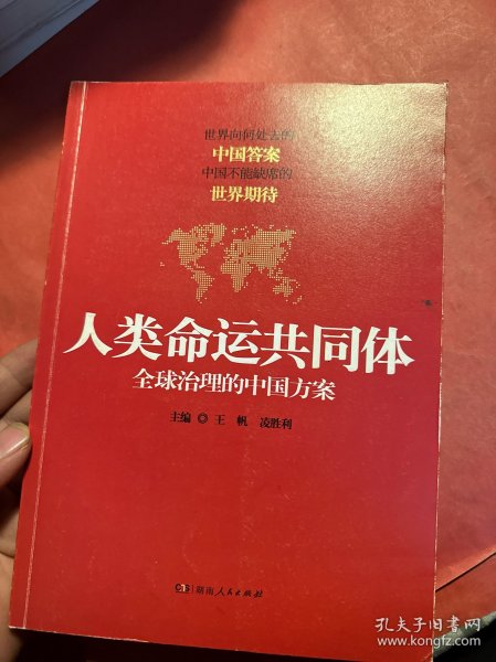 人类命运共同体：全球治理的中国方案