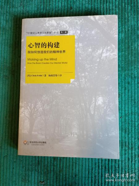 心智的构建：脑如何创造我们的精神世界