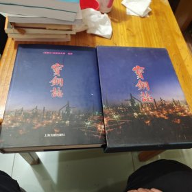宝钢志1993-1998 上海古籍出版社 2000版 正版 现货