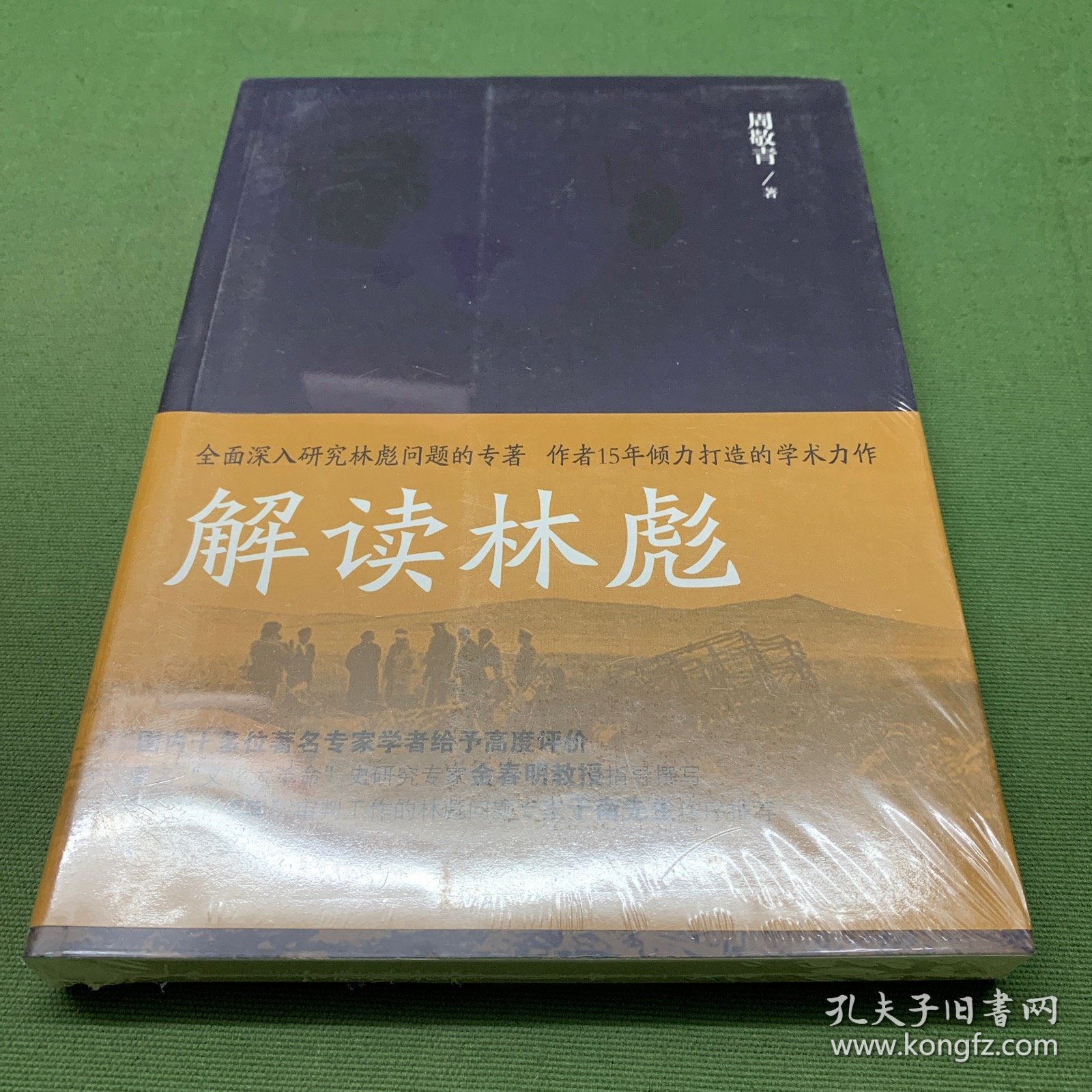 解读林彪："九一三"事件与林彪集团的覆灭