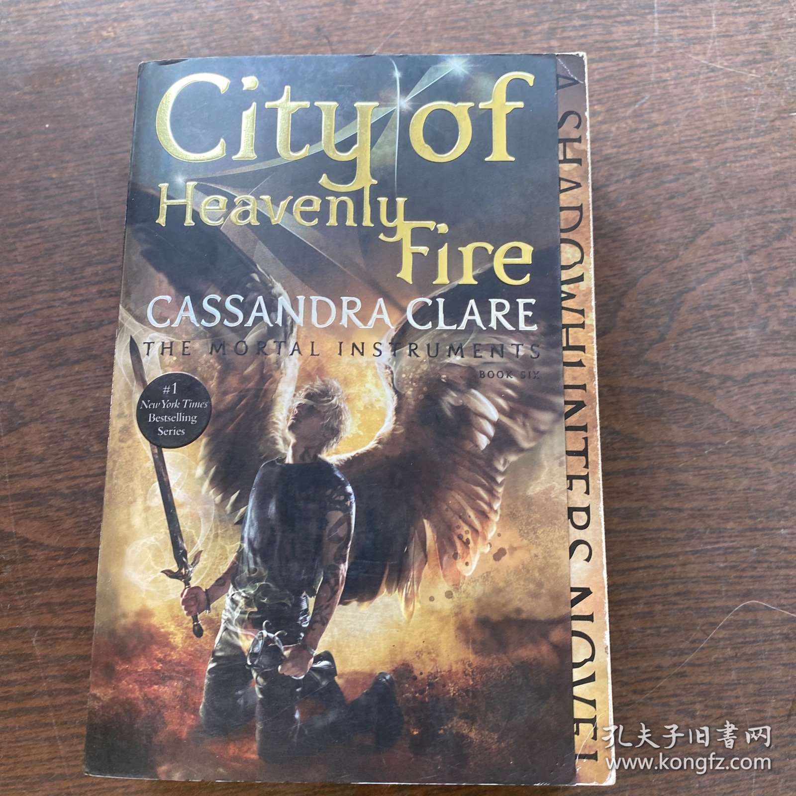 City of Heavenly Fire(以图为准）