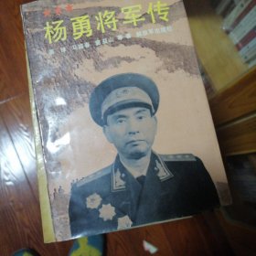 杨勇将军传