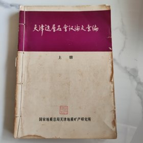 天津迭层石会议论文汇编上册
