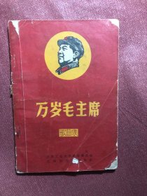 毛主席的孩子们：红卫兵一代的成长与经历