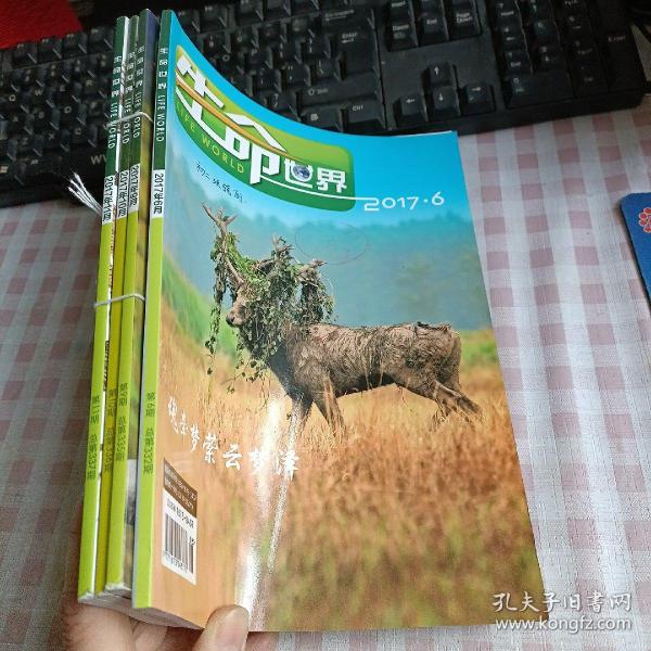 生命世界 2017年第6、9、10、11期 总第332、335、336、337期 4本合售（馆藏本）