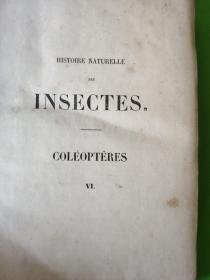 Histoire Naturelle Des Insectes  6(图片为准)【国立中央大学馆藏书，藏书票一枚】江苏省昆虫局