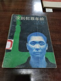 没到犯罪年龄