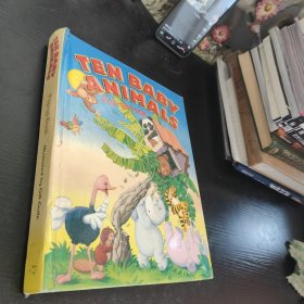 十个动物宝贝POP-UP BOOK/TEN BABY ANIMALS