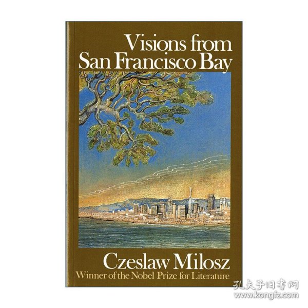 Visions from San Francisco Bay