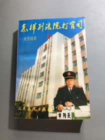 怎样到法院打官司--修订本