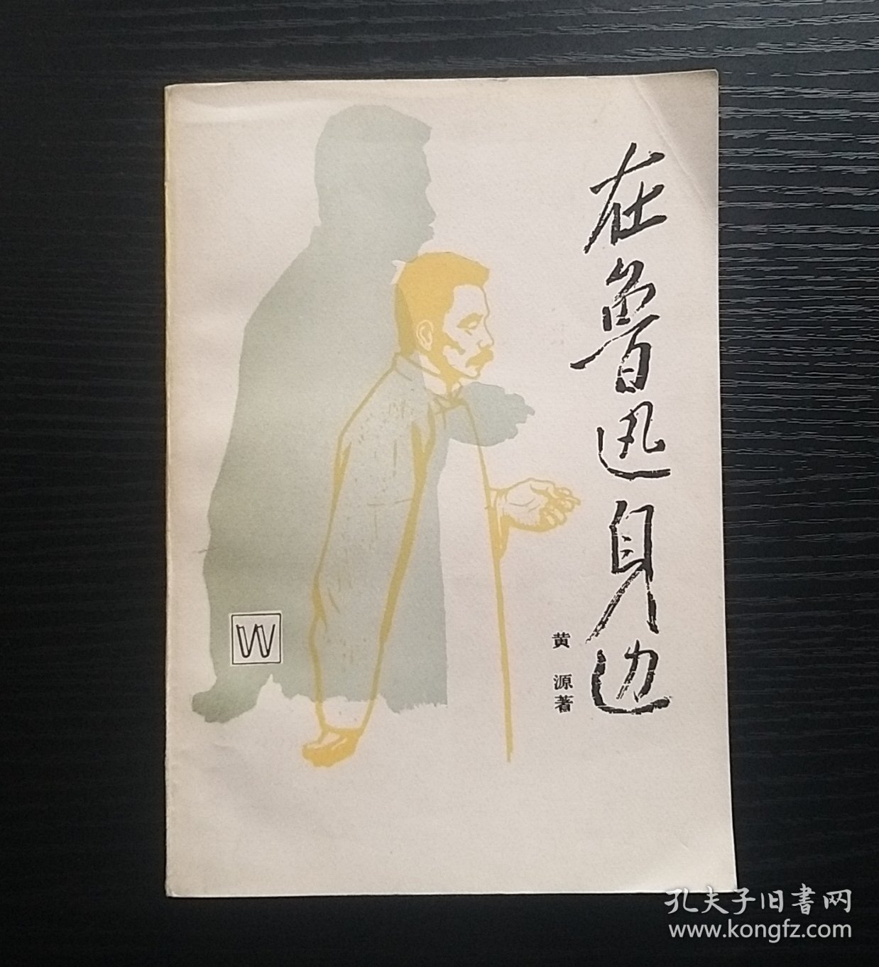 在鲁迅身边
