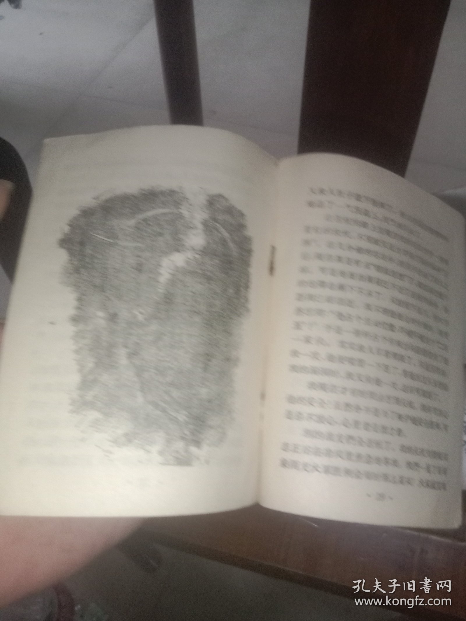 点击查看原图 第一次空战(大塑料袋)