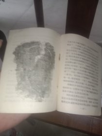 第一次空战(大塑料袋)