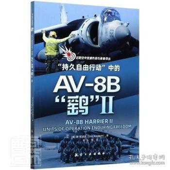 “持久自由行动”中的AV-8B“鹞”2