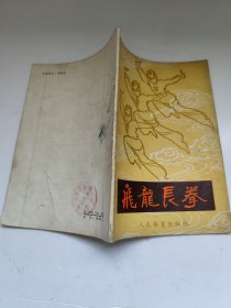 飞龙长拳